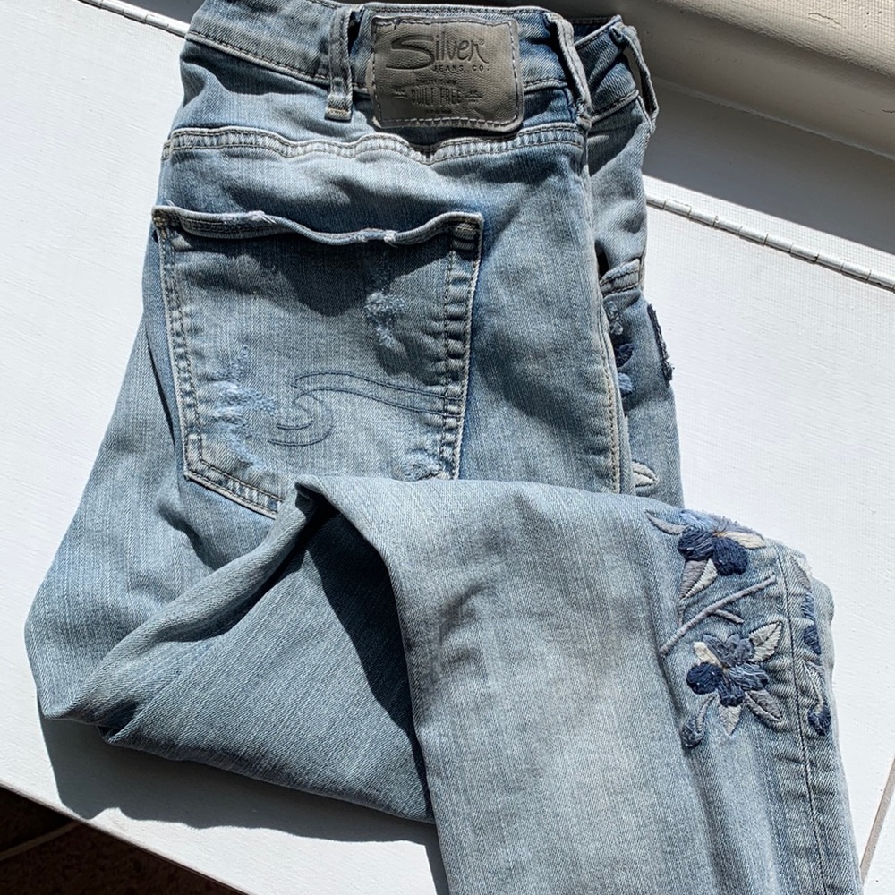 Silver Izzy - image 1